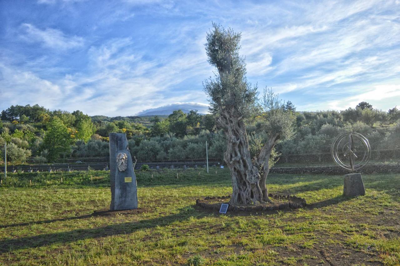 Agriturismo Kikajon Villa Linguaglossa Eksteriør billede