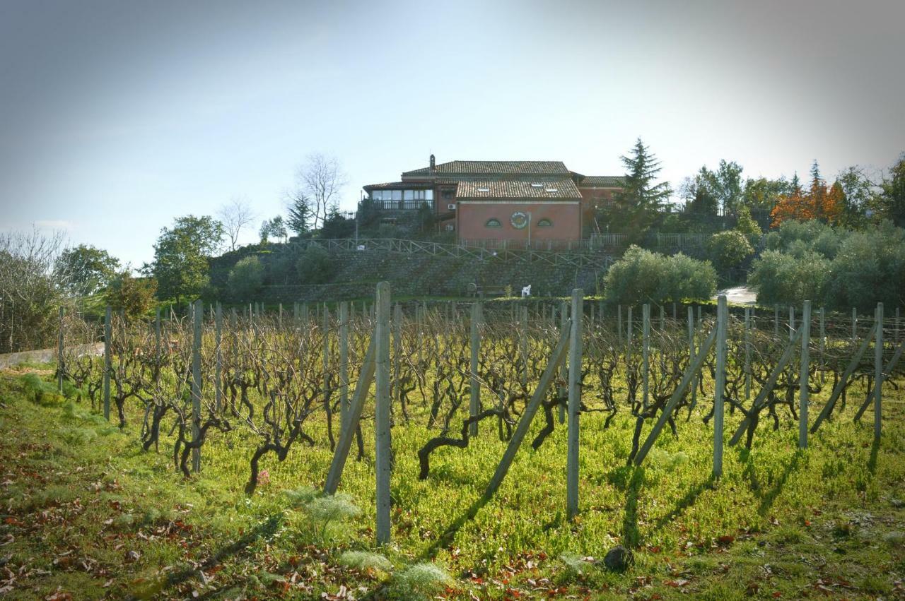 Agriturismo Kikajon Villa Linguaglossa Eksteriør billede